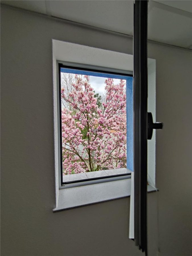 Spatii Birouri - 200 mp - Zona Sub Arini - foto 2