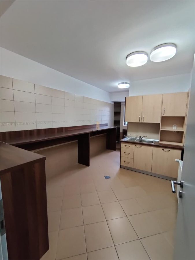 Spatii Birouri - 200 mp - Zona Sub Arini - foto 11