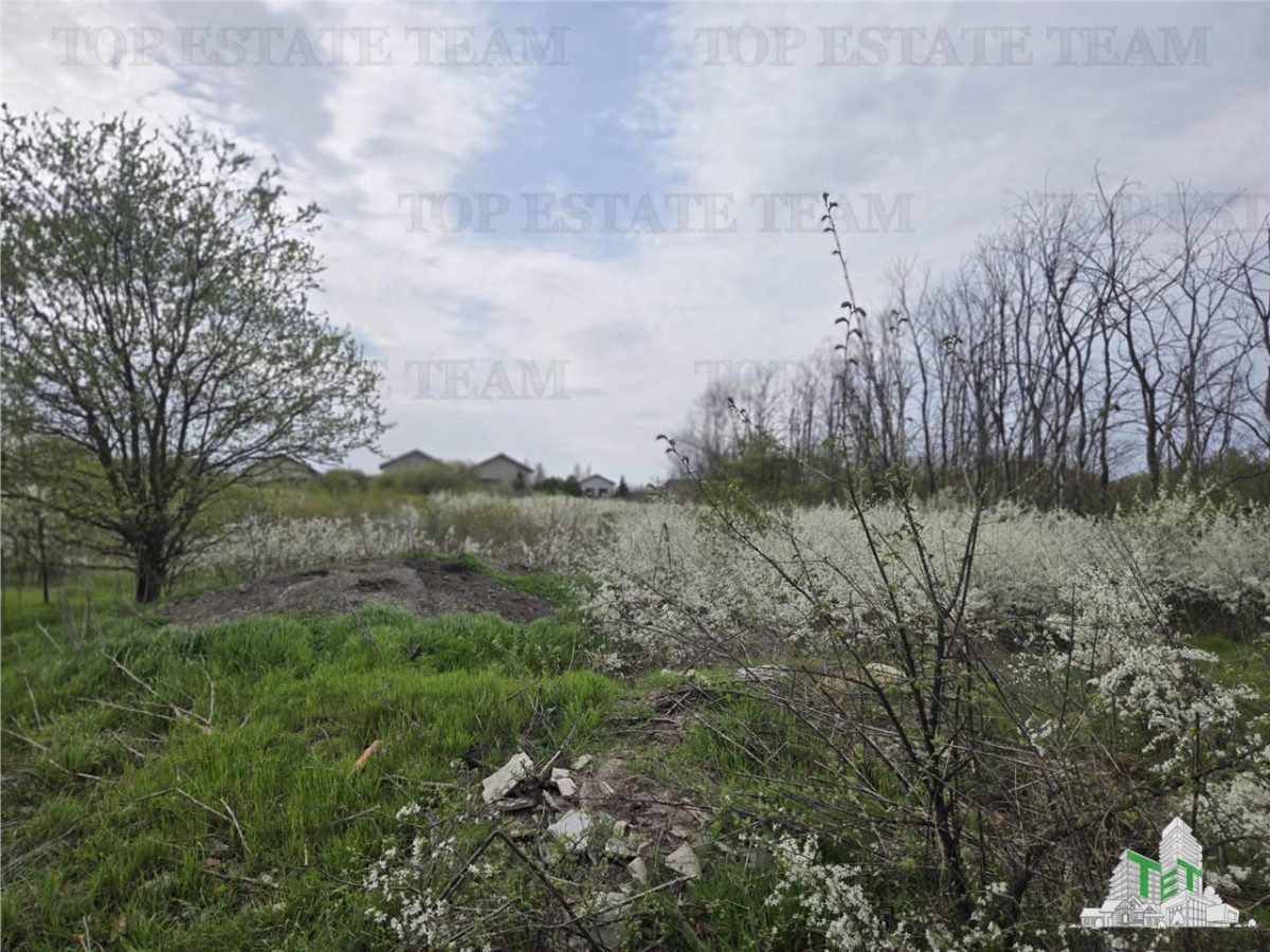 TEREN INTRAVILAN la 20 minute de Bucuresti - 