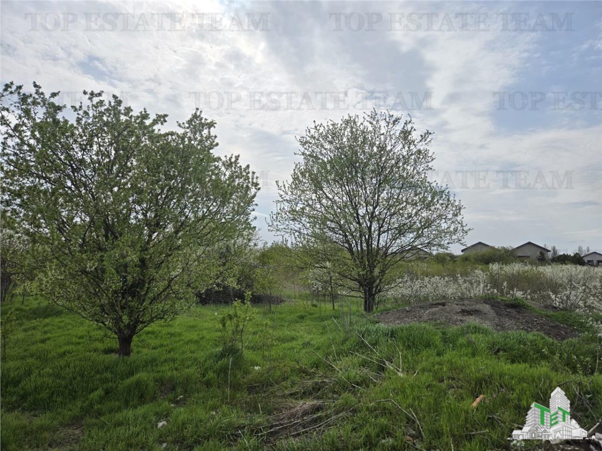 TEREN INTRAVILAN la 20 minute de Bucuresti - foto 2