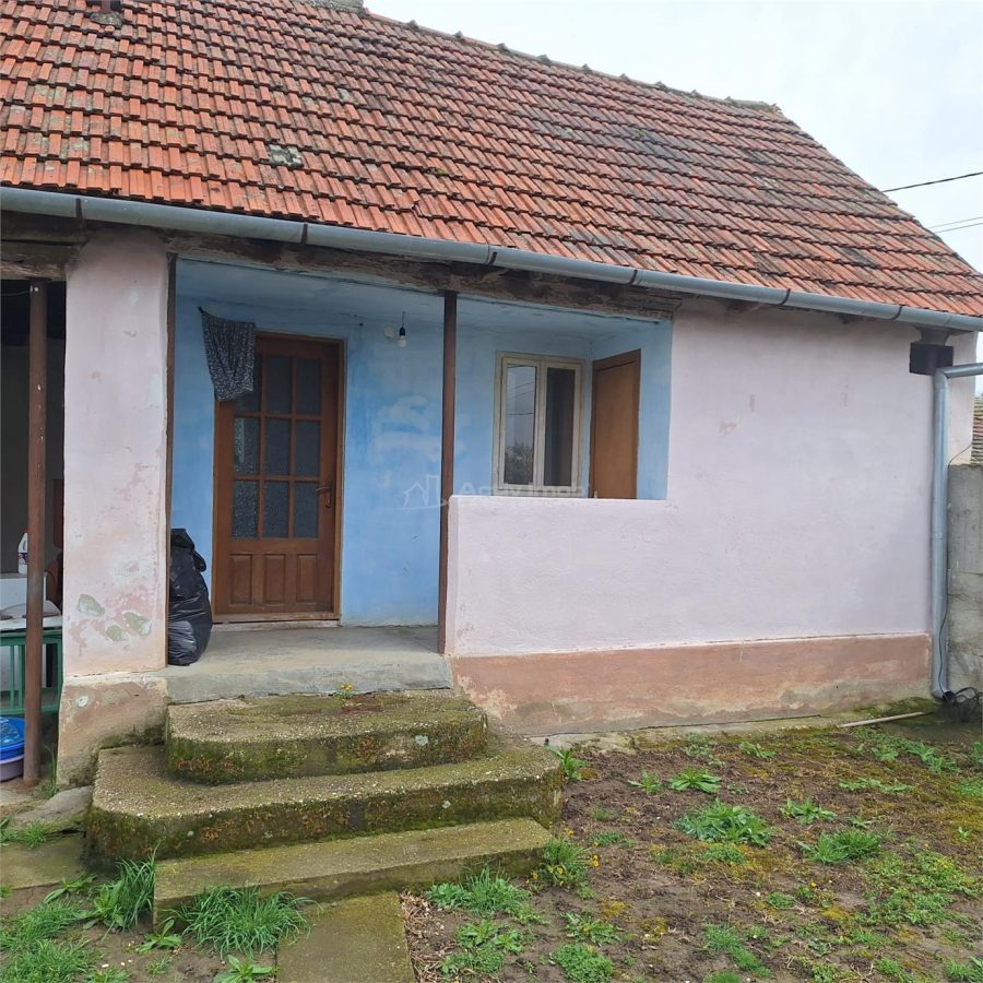 Casa cu Gradina si Teren, 4636 MP. Ghertenis - foto 11