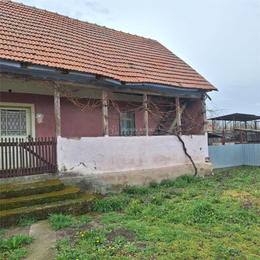 Casa cu Gradina si Teren, 4636 MP. Ghertenis - foto 14
