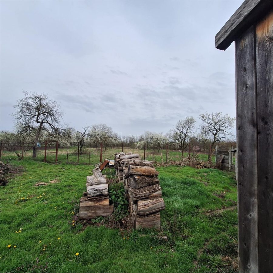 Casa cu Gradina si Teren, 4636 MP. Ghertenis - foto 17