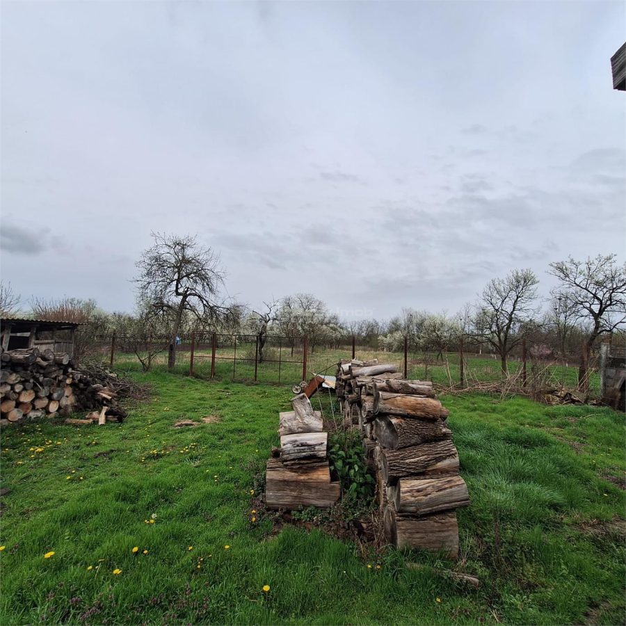 Casa cu Gradina si Teren, 4636 MP. Ghertenis - foto 23