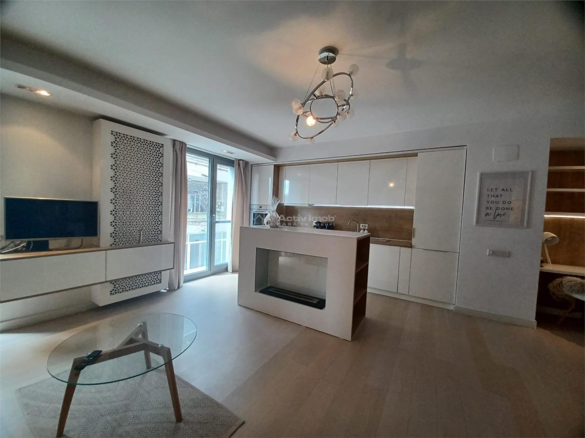 Inchiriere 2 Camere Studio Piata Victoriei- Sfintii Voievozi - foto 13