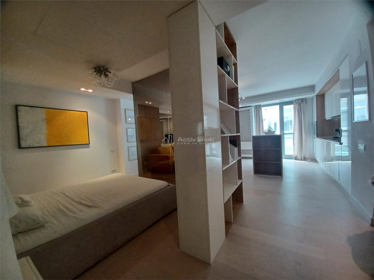 Inchiriere 2 Camere Studio Piata Victoriei- Sfintii Voievozi - foto 10