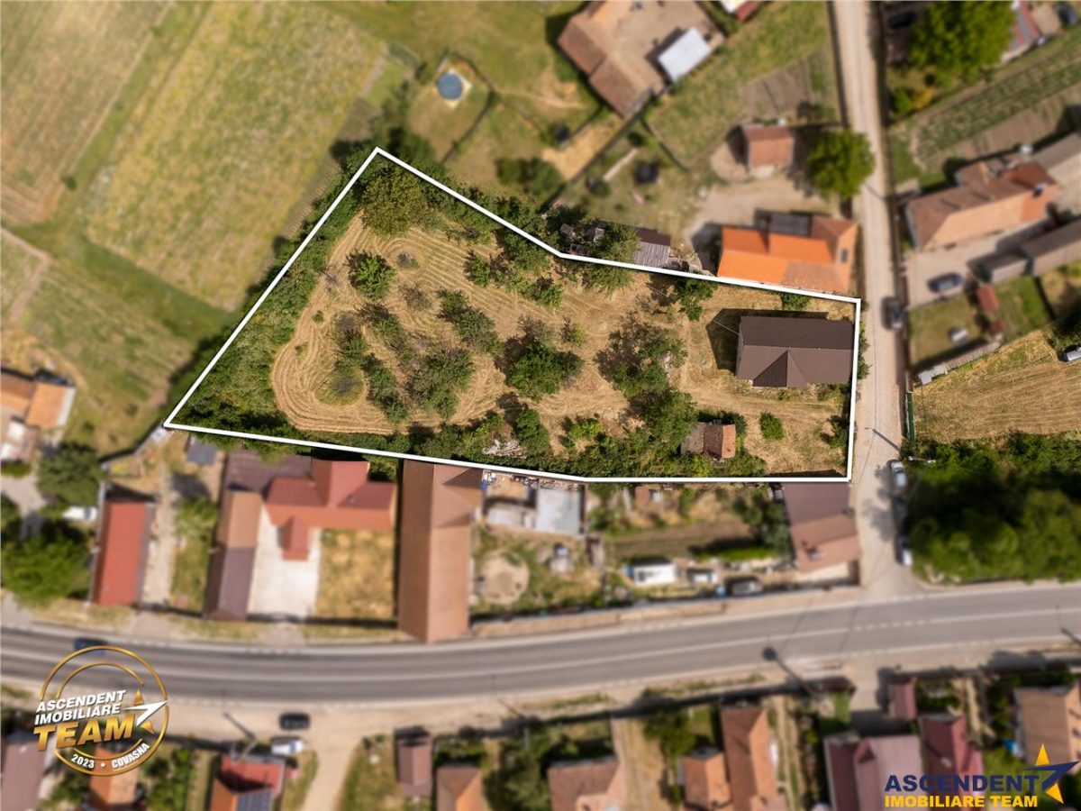 FILM! 2.700mp teren cu casa personalizabila, pomi fructiferi,langa Sfantu Gheorghe: Santionlunca - foto 7