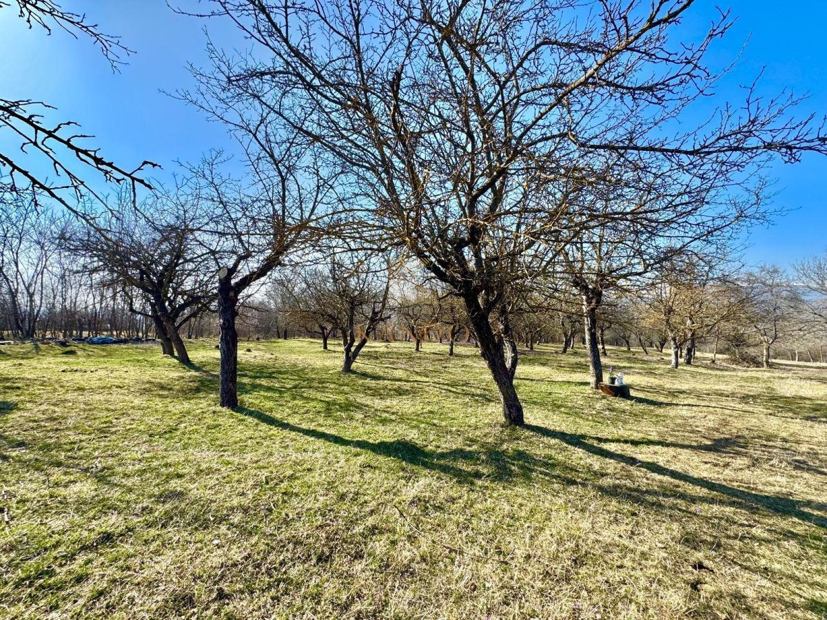 Casa + teren de vanzare in Campulung | Ideala locuinta sau casa de vacanta - foto 17