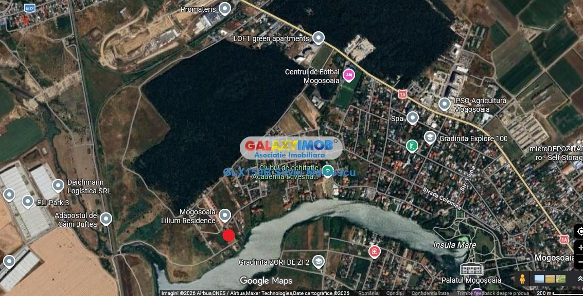 Mogosoaia 1.000 Mp str. Crinului - 