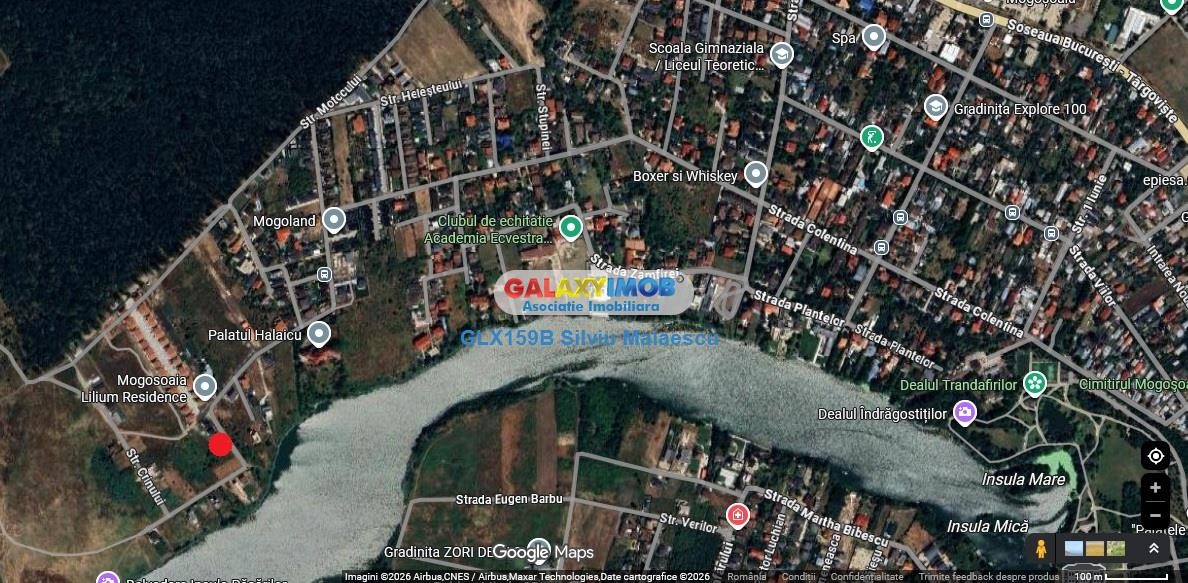 Mogosoaia 1.000 Mp str. Crinului - foto 2