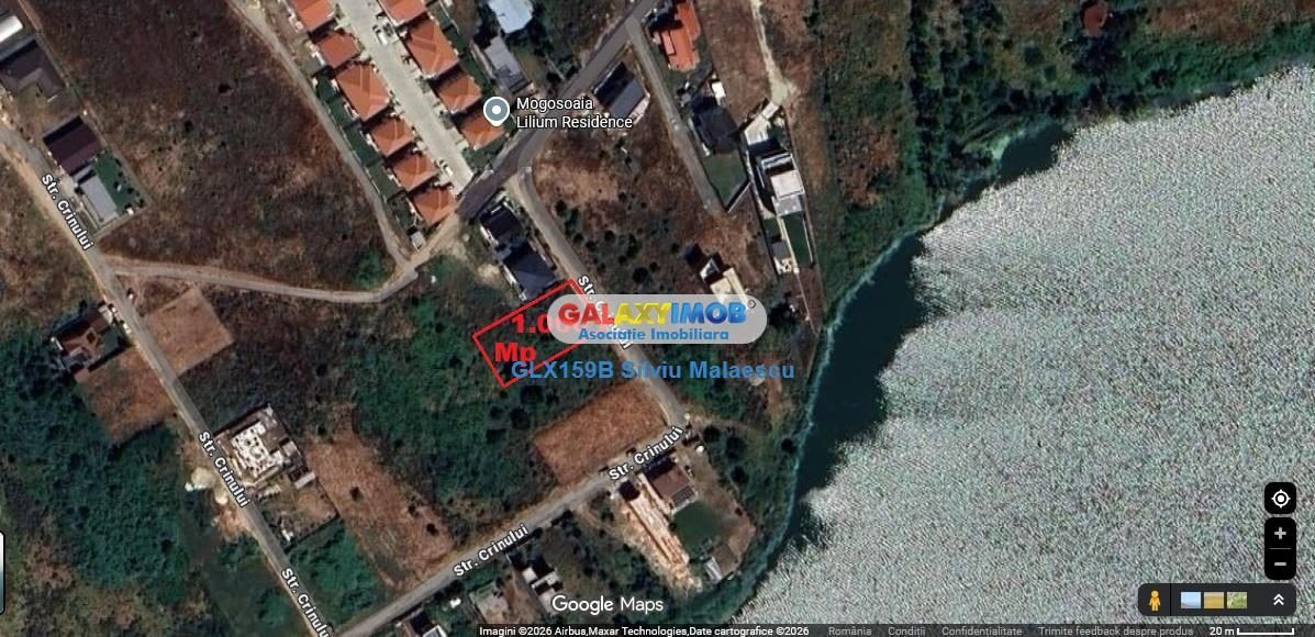 Mogosoaia 1.000 Mp str. Crinului - foto 4