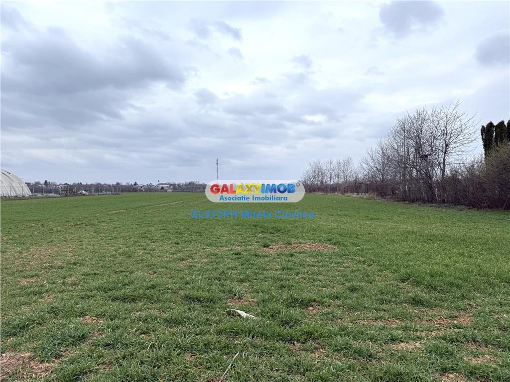 Vanzare teren intravilan Baicoi zona Ciresi - foto 2