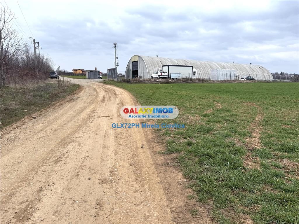 Vanzare teren intravilan Baicoi zona Ciresi - foto 3