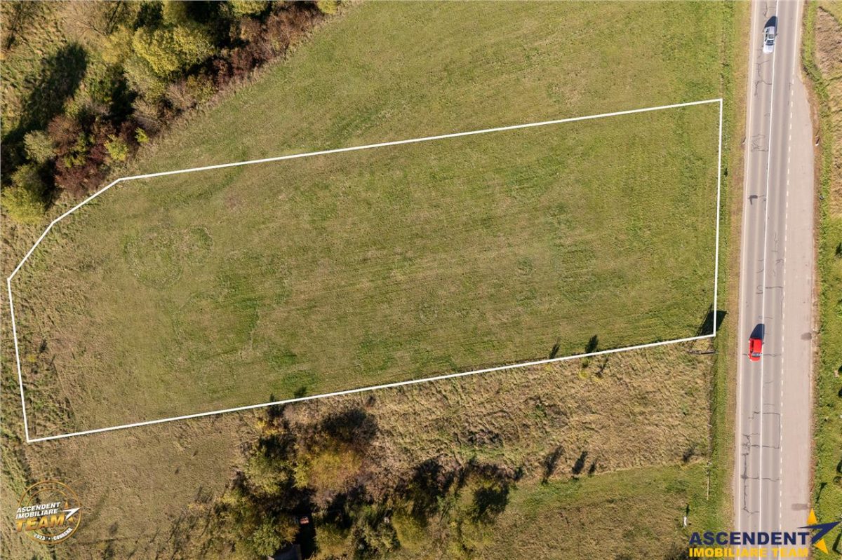 FILM! Teren intravilan industrial, deschidere la DN, Sfantu Gheorghe, Covasna - foto 6