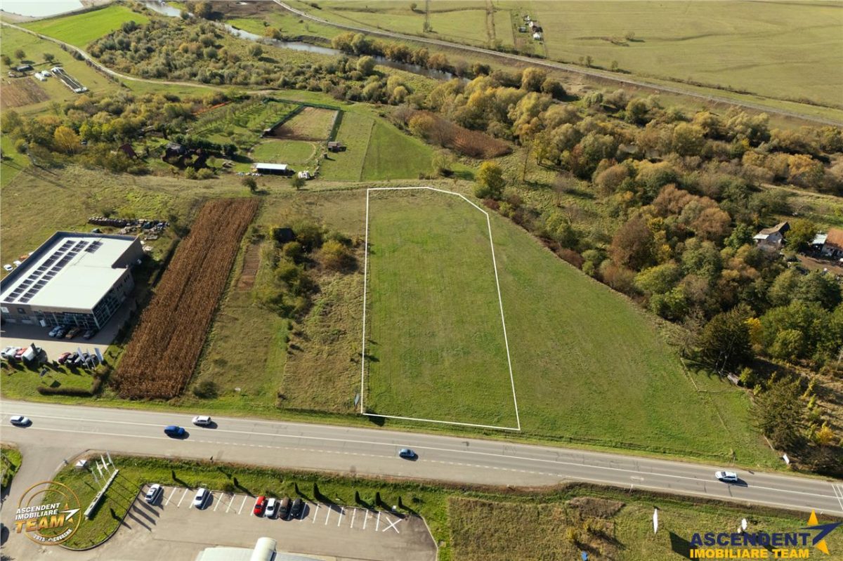 FILM! Teren intravilan industrial, deschidere la DN, Sfantu Gheorghe, Covasna - foto 8