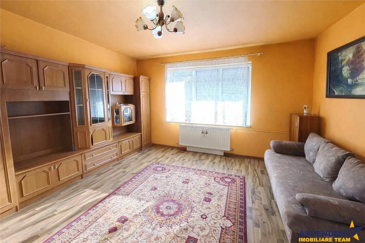 3D!Ansamblu casa+productie+comercial, 3 corpuri,acces stradal,Tudor,Targu Mures, potential ridicat - foto 17