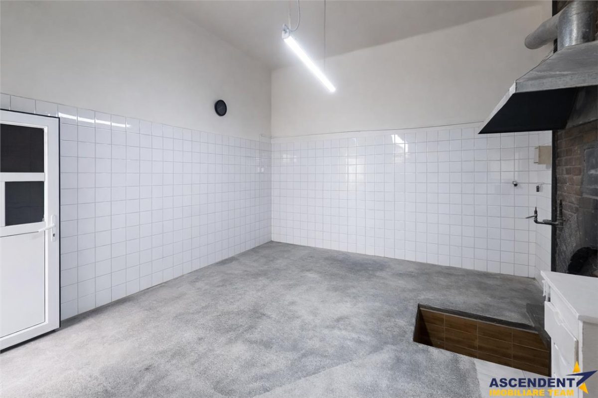 3D!Ansamblu casa+productie+comercial, 3 corpuri,acces stradal,Tudor,Targu Mures, potential ridicat - foto 3