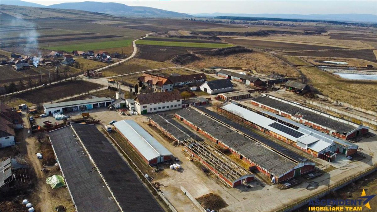 FILM! Complex agrozootehnic cu traditie, echipat + pretios potential multiplu - foto 12