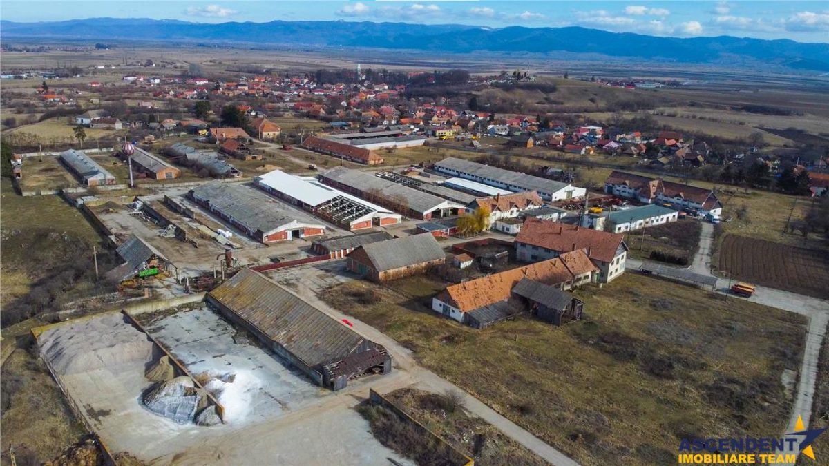 FILM! Complex agrozootehnic cu traditie, echipat + pretios potential multiplu - foto 14