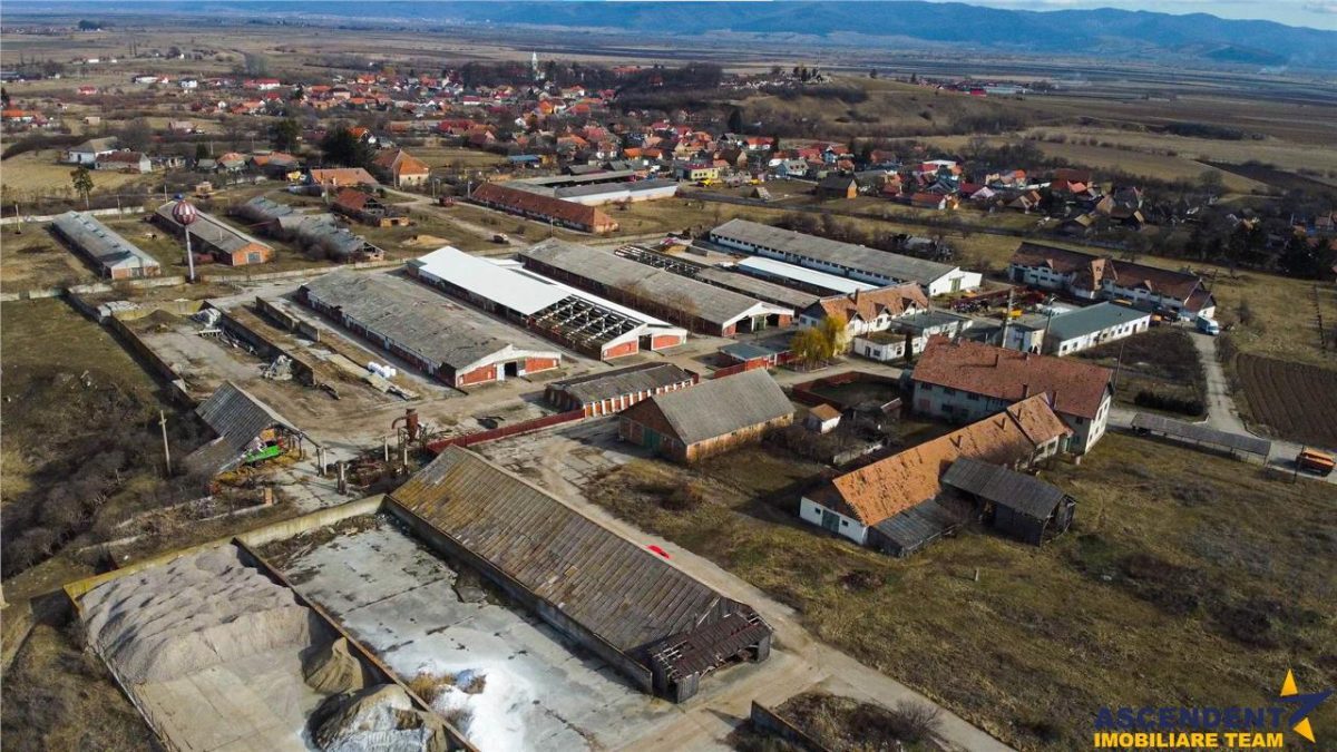 FILM! Complex agrozootehnic cu traditie, echipat + pretios potential multiplu - foto 20