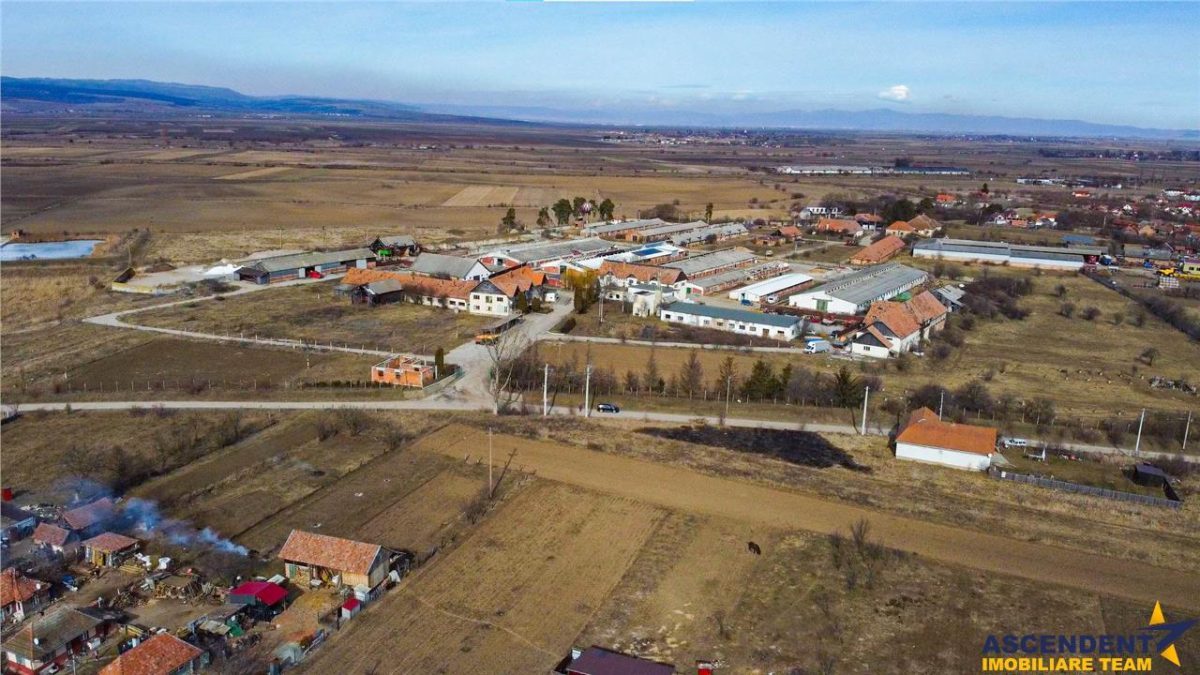 FILM! Complex agrozootehnic cu traditie, echipat + pretios potential multiplu - foto 7