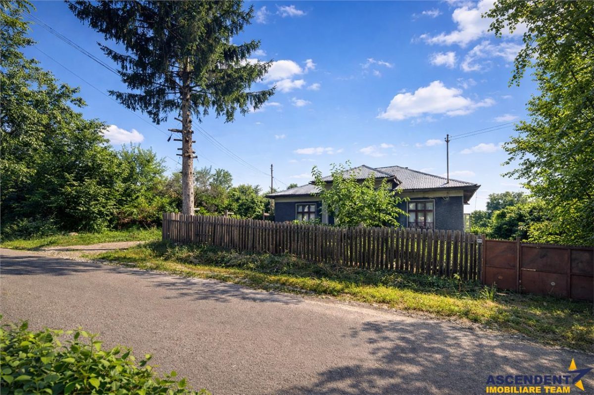 2.000mp teren,acces facil,recomandat constructie casa,Central,Greceanca, Buzau - 