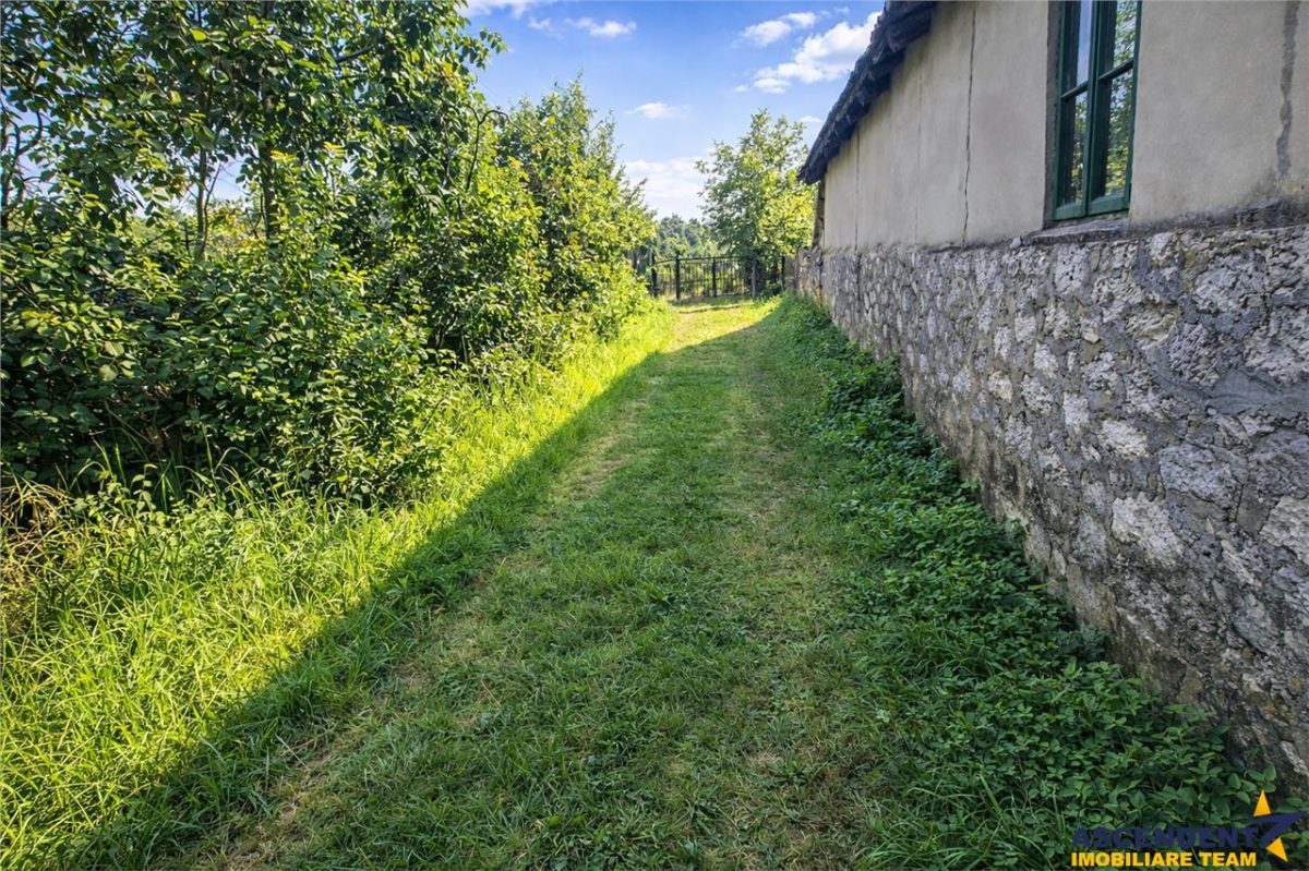 2.000mp teren,acces facil,recomandat constructie casa,Central,Greceanca, Buzau - foto 3