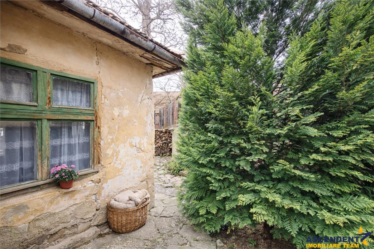Casa, cu 850 mp gradina, Centrul Istoric - Schei, Brasov - foto 4