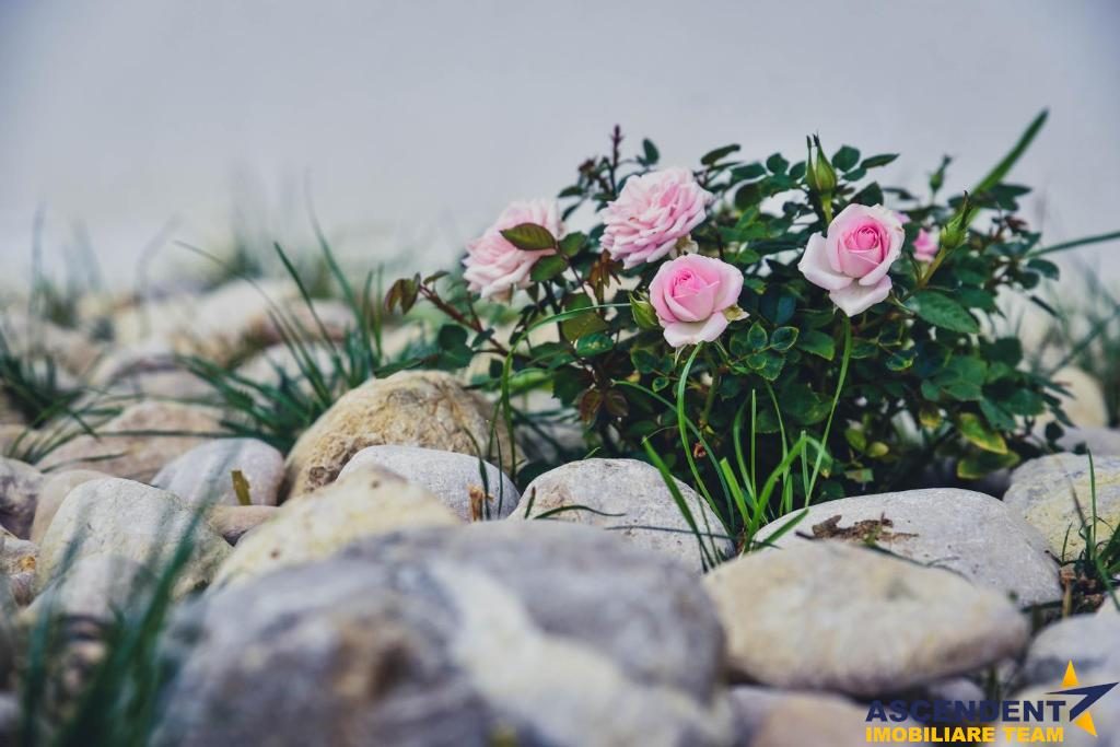 Aleasa Pensiune, pe 1.400 mp teren, in curcubeu montan, Bran - Poarta, Brasov - foto 14