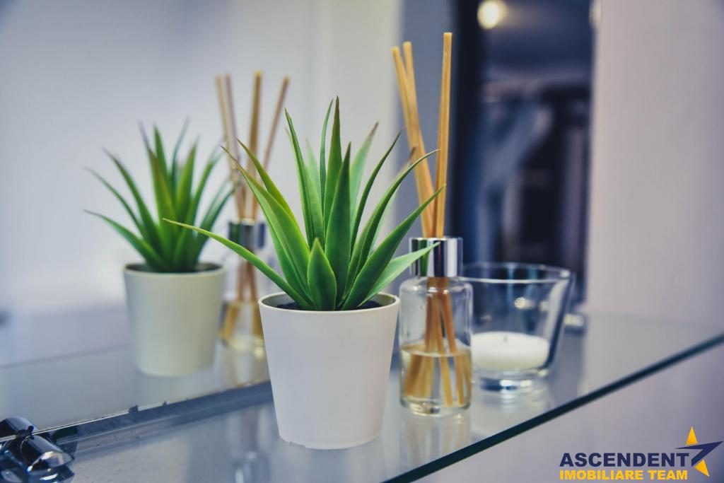 Aleasa Pensiune, pe 1.400 mp teren, in curcubeu montan, Bran - Poarta, Brasov - foto 3