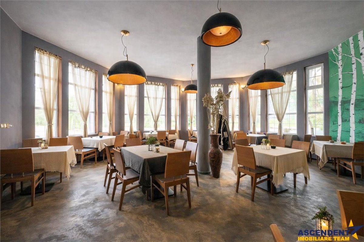 Potential imobiliar remarcabil, recomandat domeniului Petrolier si HoReCa, DN11, Reci, Covasna - foto 2