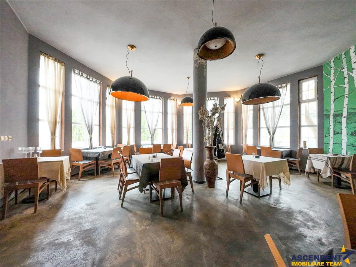 Potential imobiliar remarcabil, recomandat domeniului Petrolier si HoReCa, DN11, Reci, Covasna - foto 6