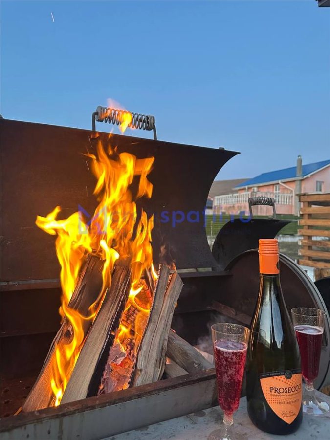 Cladire/ afacere/ pensiune, Bogonos, 286mp, aproape de Volkswagen - foto 13