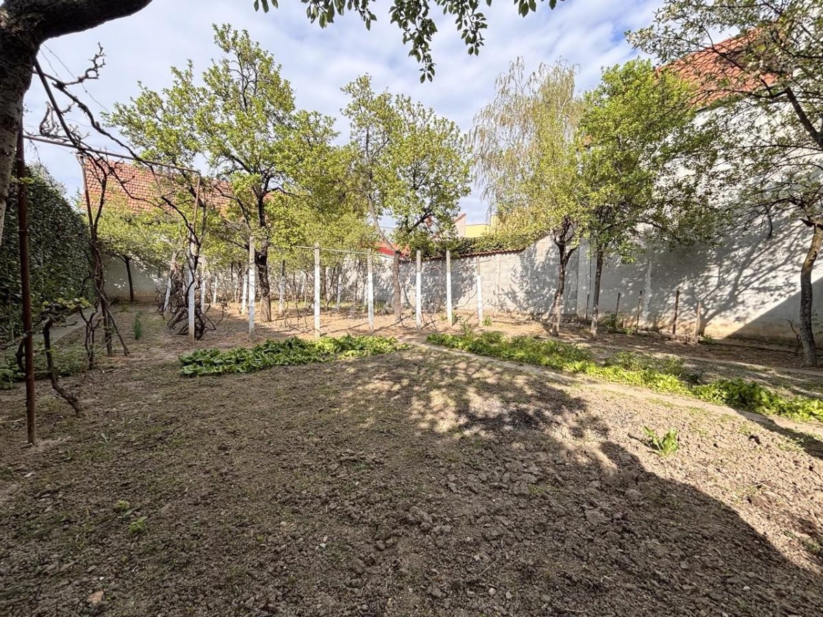 Casa pe un nivel, 500 mp teren, langa Palatul Baroc Oradea â€“ zona foarte linistita - foto 3