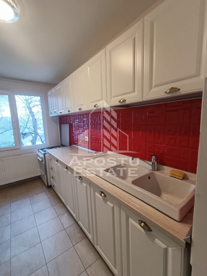 Apartament cu 3 camere, de inchiriat, Piata Marasti, Timisoara - foto 10