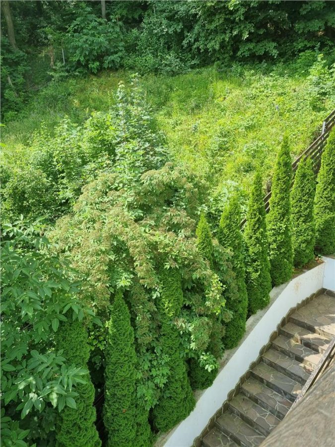 Apartament de trei camere in zona mirifica , Dobrogeanu Gherea - foto 12