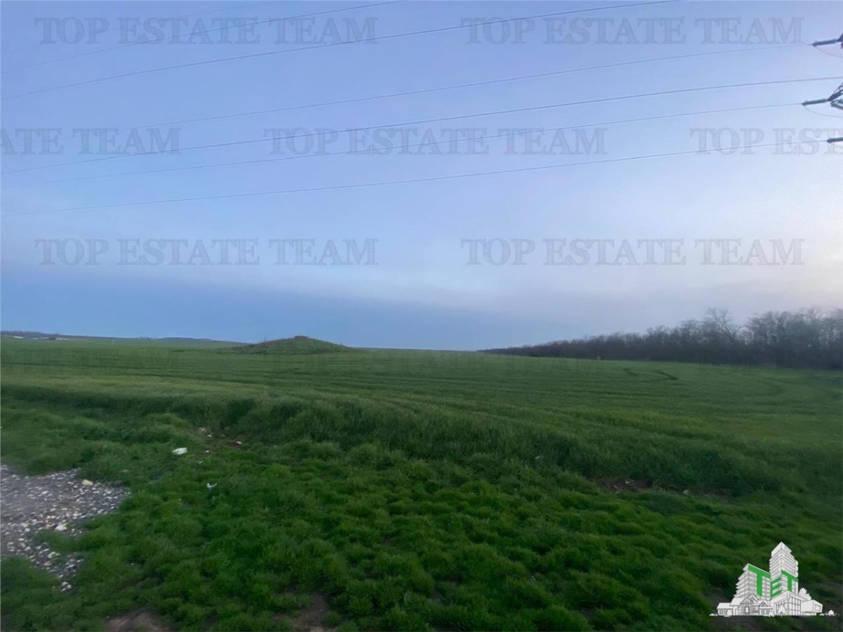 Teren intravilan 15000 mp Costinesti, Constanta - 