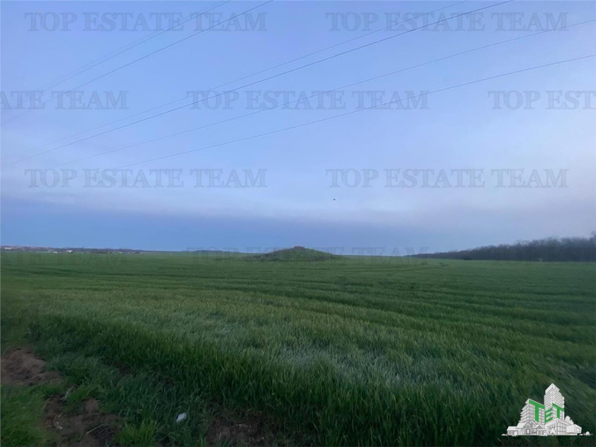 Teren intravilan 15000 mp Costinesti, Constanta - foto 7