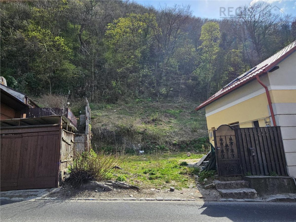 Teren Intravilan Dobrogeanu Gherea - foto 3