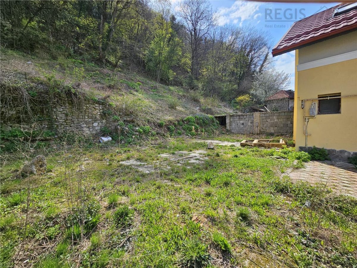 Teren Intravilan Dobrogeanu Gherea - foto 4