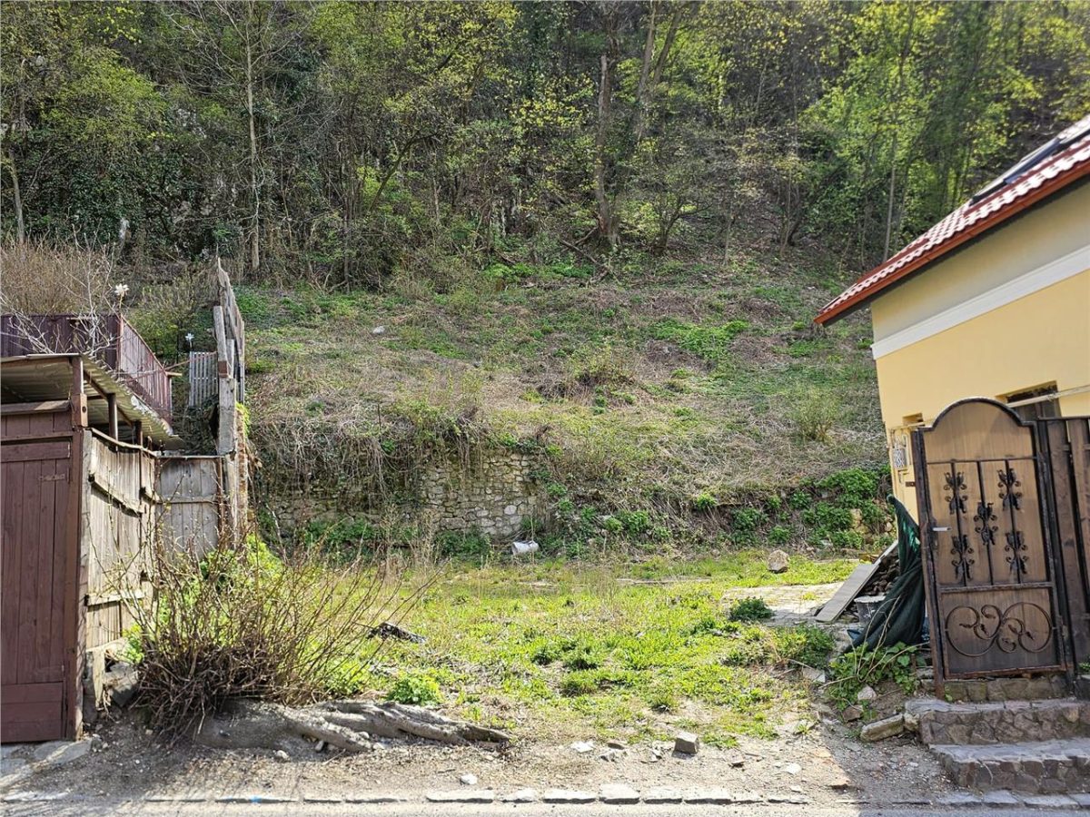 Teren Intravilan Dobrogeanu Gherea - foto 5