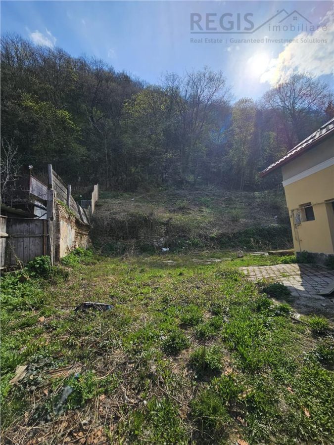 Teren Intravilan Dobrogeanu Gherea - foto 6