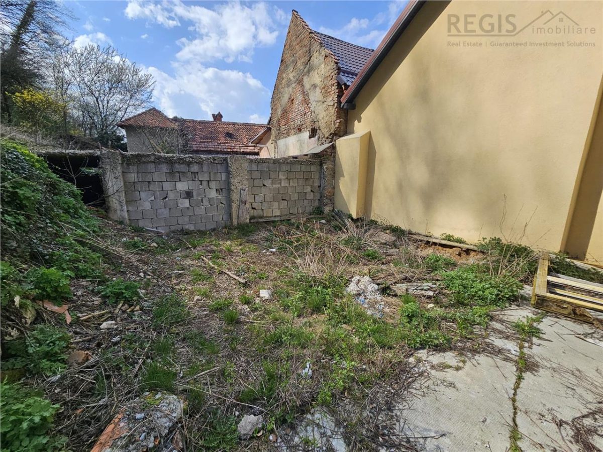 Teren Intravilan Dobrogeanu Gherea - foto 9