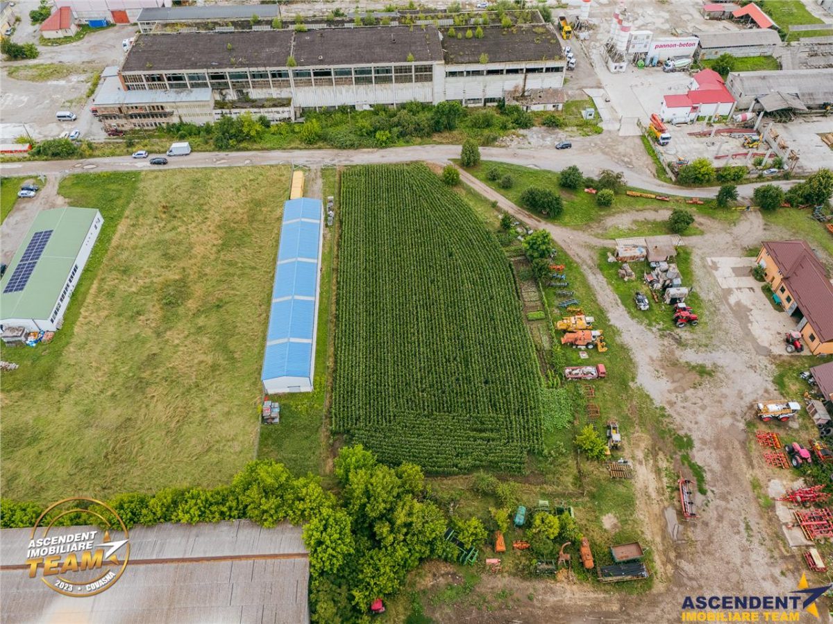 FILM! 4.600mp,aria industriala,utilitati aproape:hala,depozit,service auto - foto 5