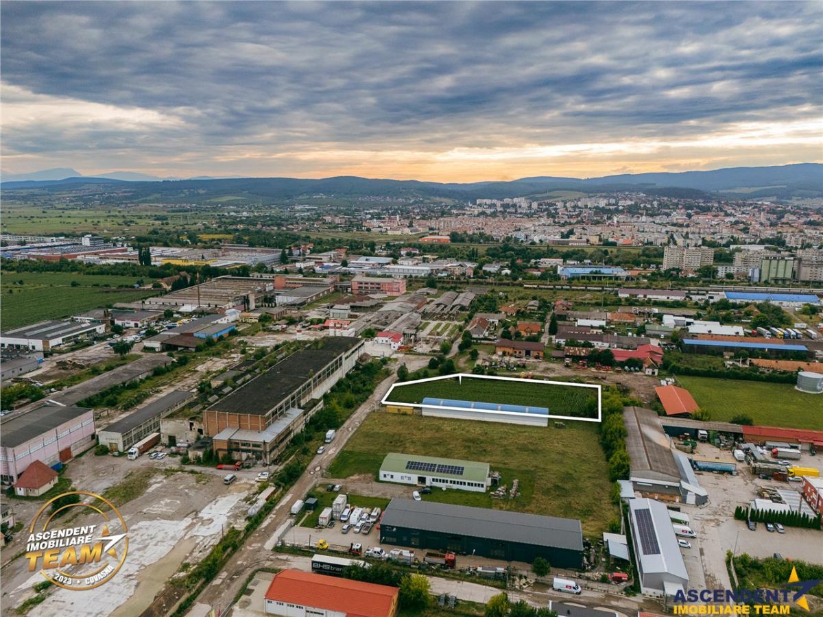 FILM! 4.600mp,aria industriala,utilitati aproape:hala,depozit,service auto - foto 6