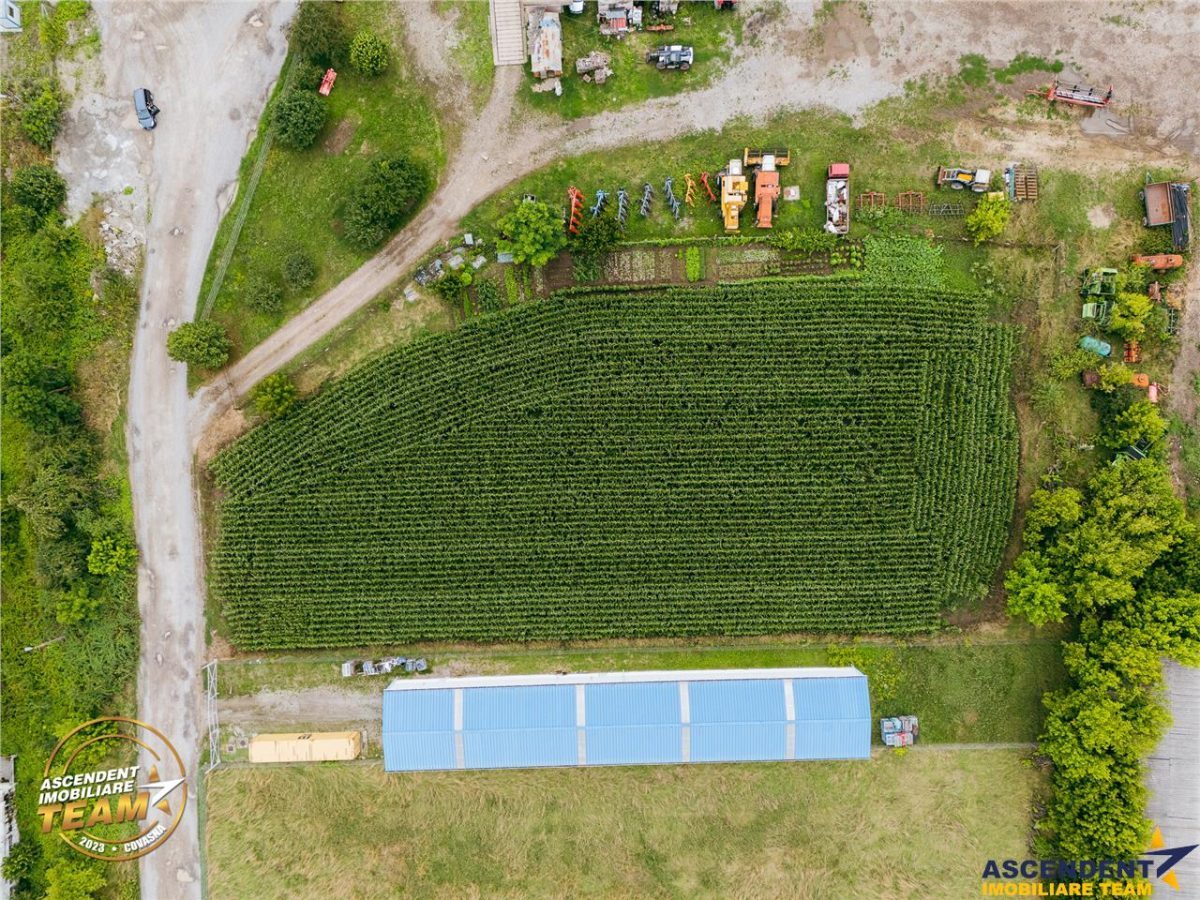 FILM! 4.600mp,aria industriala,utilitati aproape:hala,depozit,service auto - foto 7