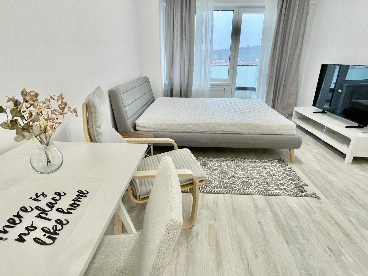 1 CAM CENTRU PALAS , PARCARE, UNIREA TOWERS - 