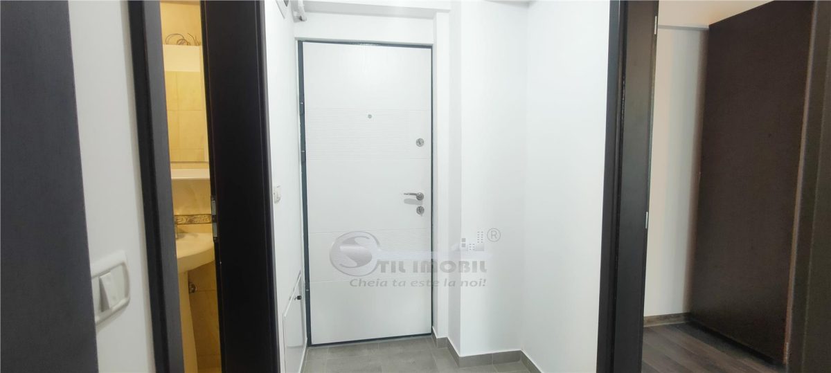 1 CAM BUCIUM LID NOU DECOMANDAT CU TERASA - foto 8