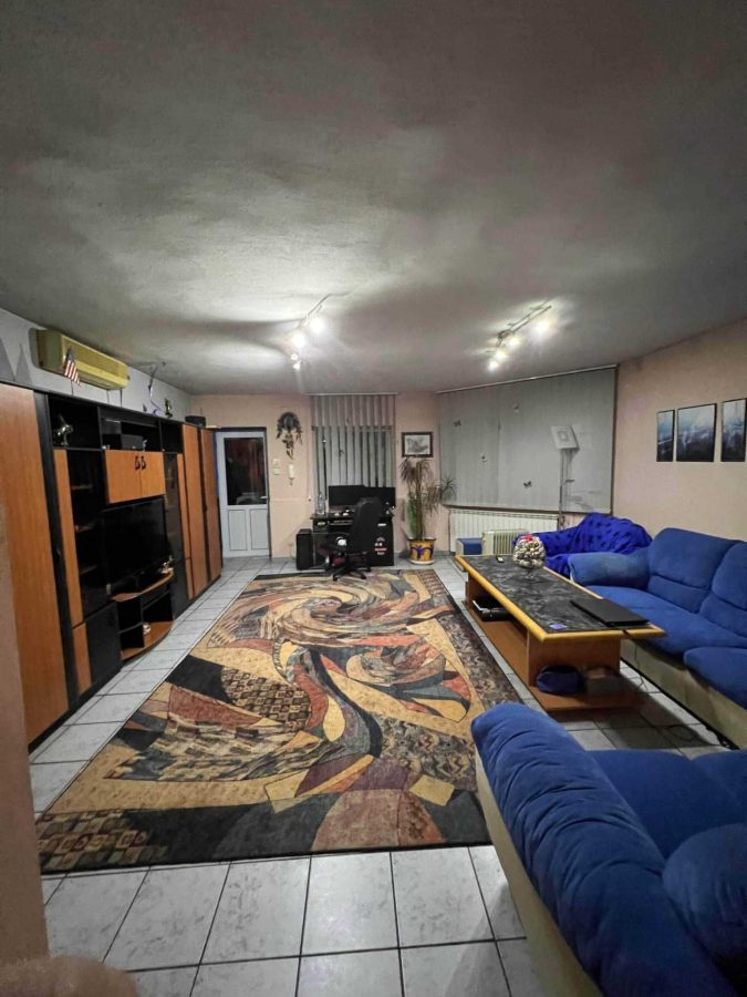 Imobil doua corpuri P+2+pod si P+1 | zona Splaiul Unirii | - foto 15