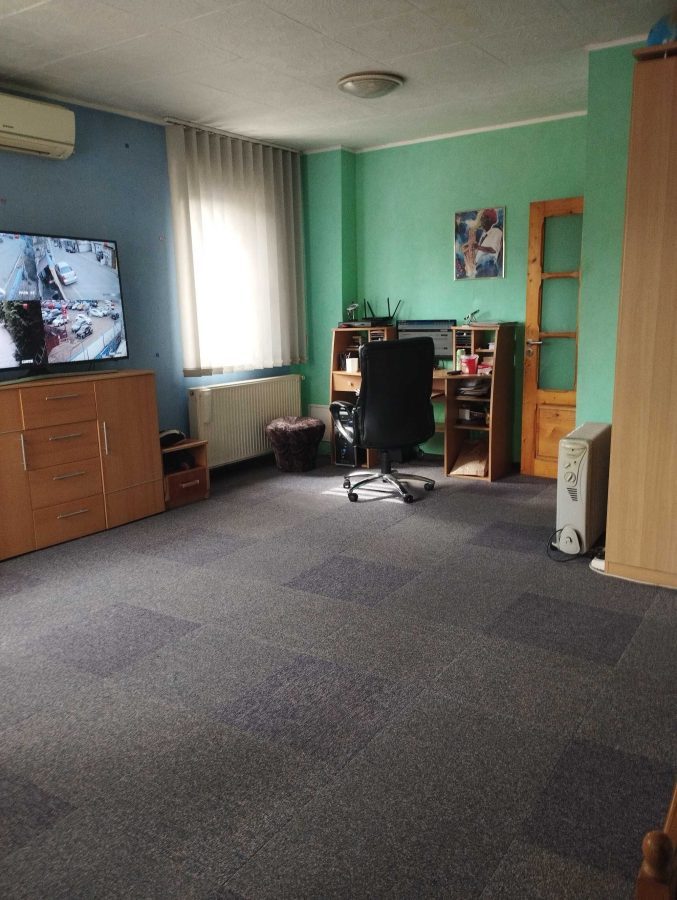 Imobil doua corpuri P+2+pod si P+1 | zona Splaiul Unirii | - foto 21